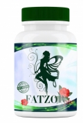 FATZOR PLUS